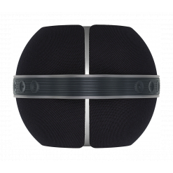 Devialet Mania